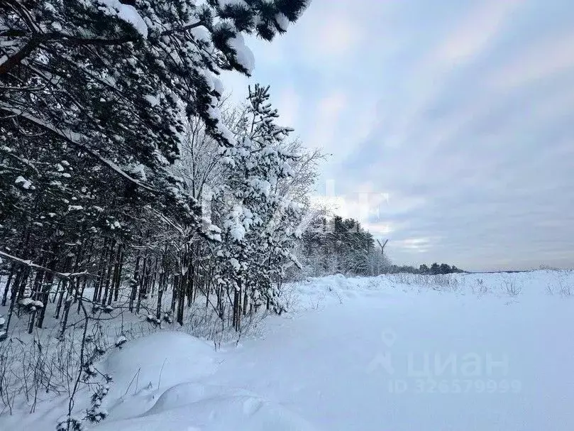 Участок в Ленинградская область, Приозерский район, Запорожское с/пос, ... - Фото 1