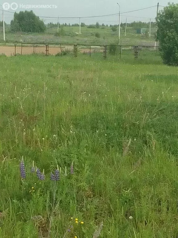 Участок в Кольчугино, Вишнёвая улица, 11 (11 м) - Фото 1