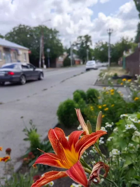 Участок в Ростовская область, Ростов-на-Дону ул. Солидарности, 188 ... - Фото 1