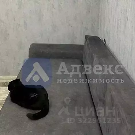 Студия Тюменская область, Тюмень Олимпийская ул., 18 (17.1 м) - Фото 2