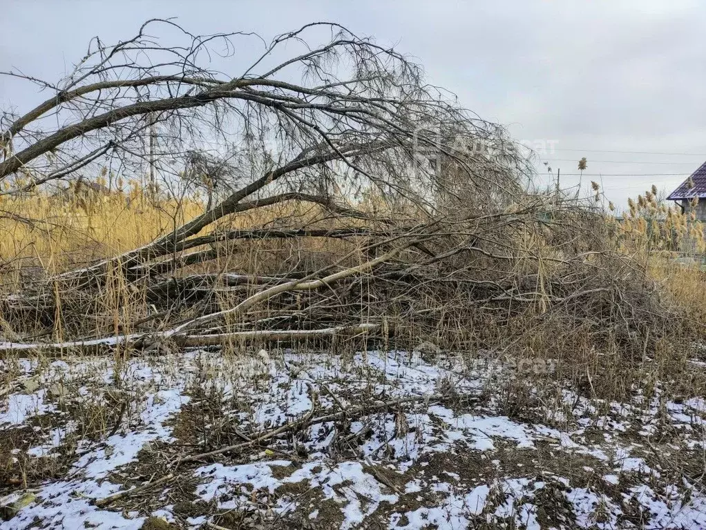 Участок в Волгоградская область, Светлоярский район, Кировское с/пос, ... - Фото 0