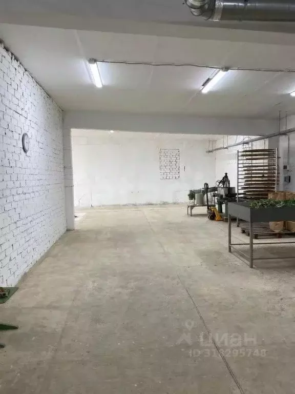 Помещение свободного назначения в Ярославская область, Борисоглебский ... - Фото 1