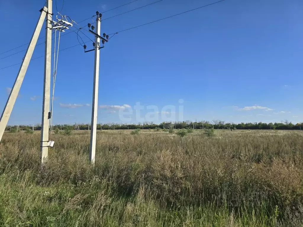 Участок в Воронежская область, Семилукский район, Губаревское с/пос, У ... - Фото 1