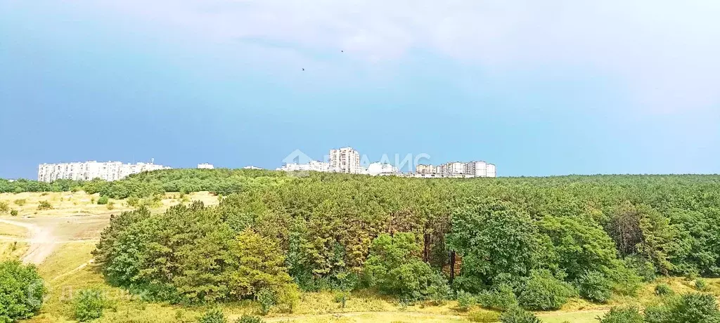 Продаётся 1-к квартира, 30.1 м - Фото 0