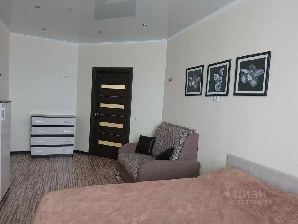 1-к кв. Псковская область, Псковский район, Завеличенская волость, д. ... - Фото 1