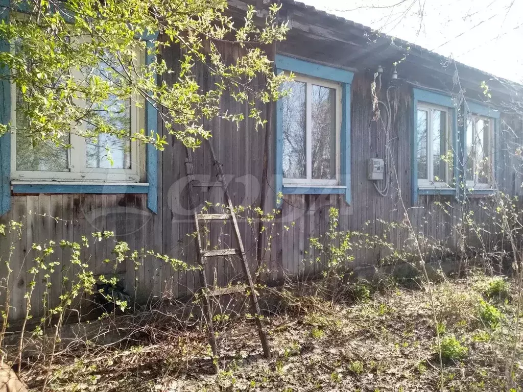 2-к кв. Курганская область, Юргамыш рп ул. Школьная, 20 (49.1 м) - Фото 2
