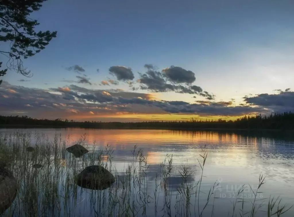 Участок в Московская область, Истра муниципальный округ, д. Ремянники  ... - Фото 1