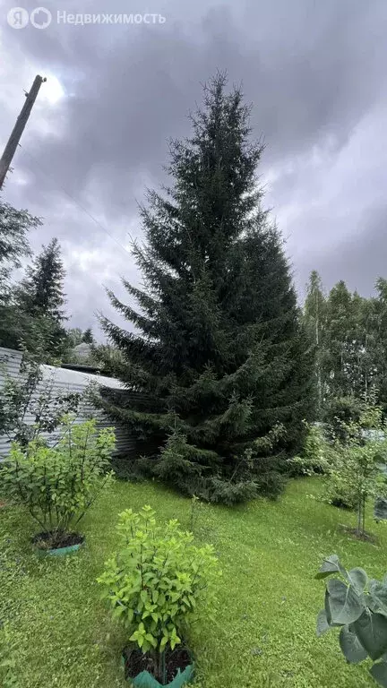 Участок в деревня Коптяки, Сиреневая улица, 3 (10.15 м) - Фото 1