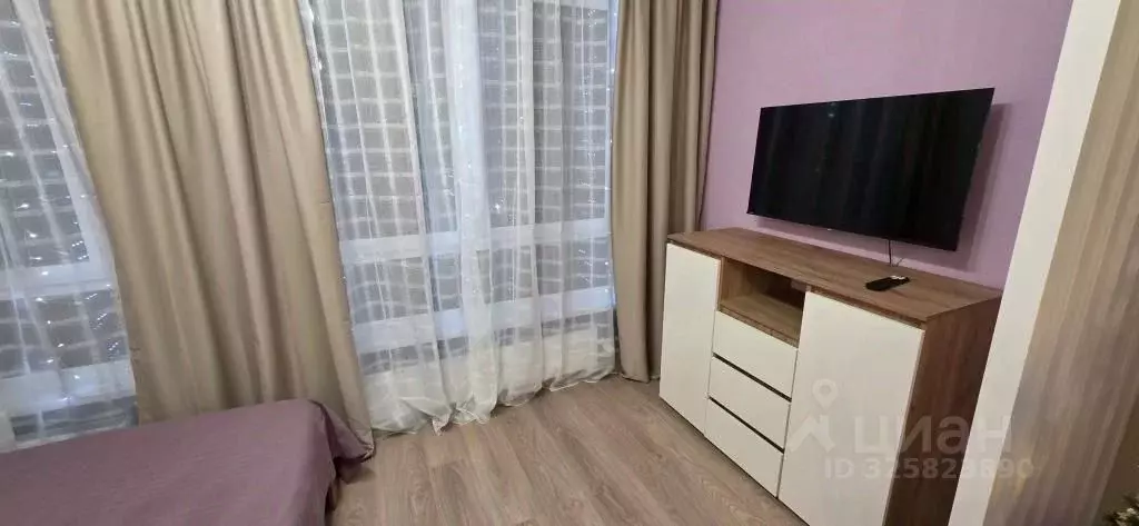 1-к кв. Ленинградская область, Всеволожский район, д. Новое Девяткино ... - Фото 1