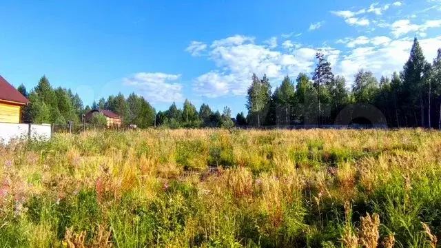 Участок 15 сот. (СНТ, ДНП) - Фото 0