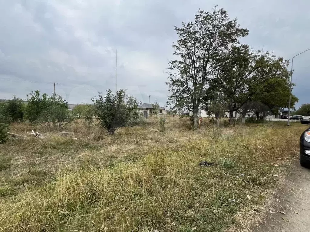 Участок 4 сот. (СНТ, ДНП) - Фото 1