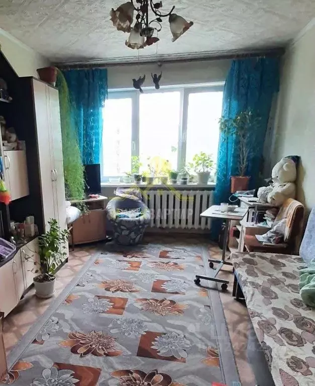 2-к кв. Оренбургская область, Орск пос. Вокзальный, ул. Просвещения, ... - Фото 1