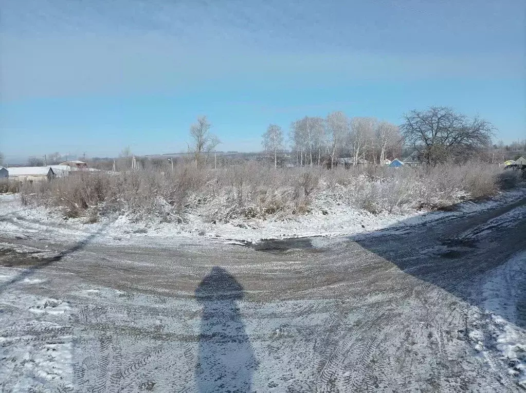 Участок в Мордовия, Саранск городской округ, с. Горяйновка ул. ... - Фото 1