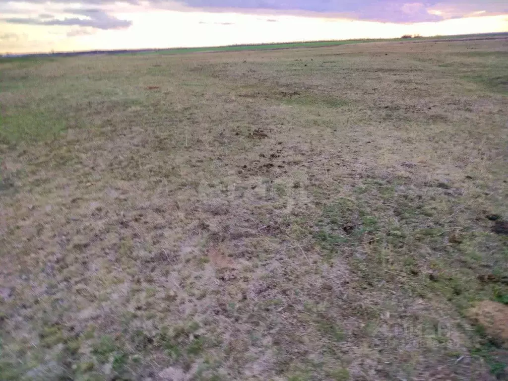 Участок в Саратовская область, Марксовский район, Зоркинское ... - Фото 1