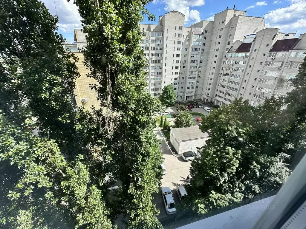 Студия Саратовская область, Саратов ул. 2-я Садовая, 36/40 (33.5 м) - Фото 2