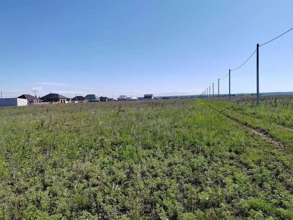 Участок в Оренбургская область, Бузулукский район, Палимовский ... - Фото 1