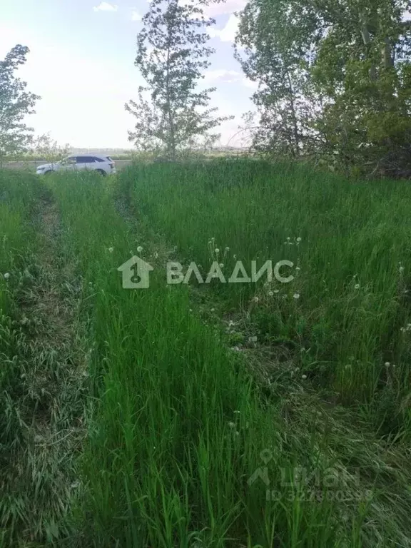 Участок в Башкортостан, Стерлитамакский район, Айгулевский сельсовет, ... - Фото 2