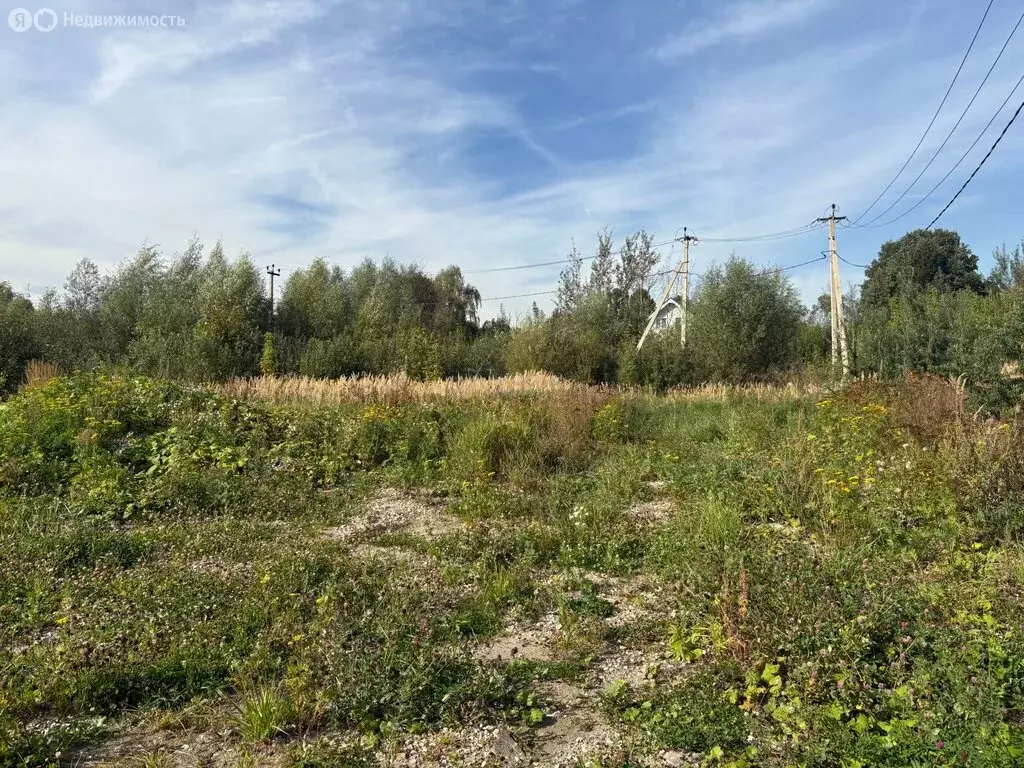 Участок в деревня Рыбаки, 2-я улица (4.8 м) - Фото 2