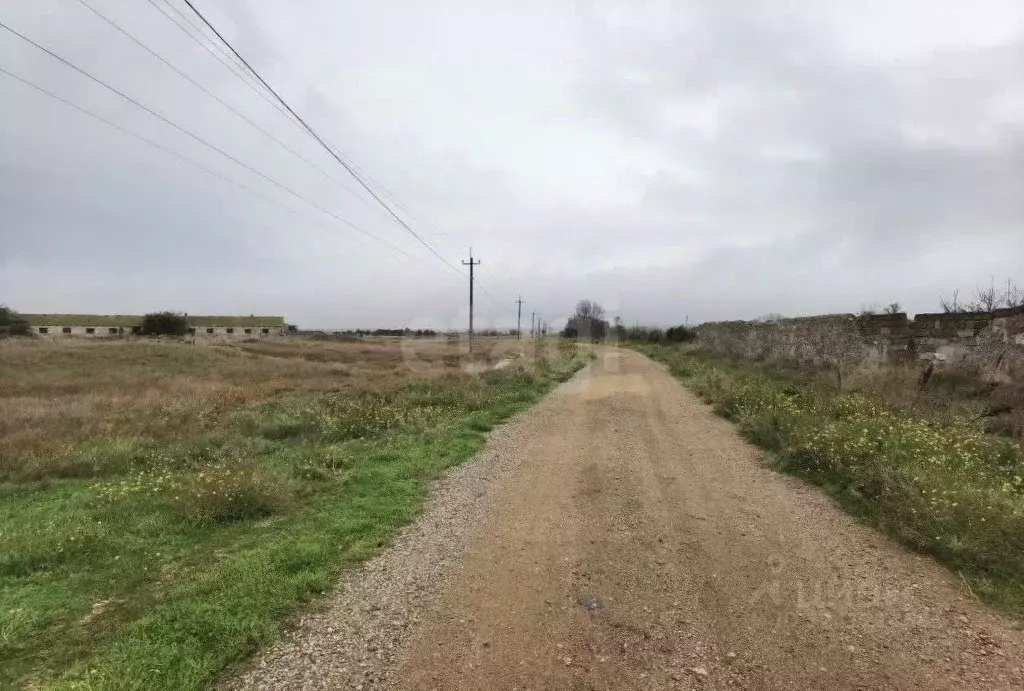 Участок в Крым, Черноморский район, Оленевское с/пос, с. Оленевка пер. ... - Фото 0