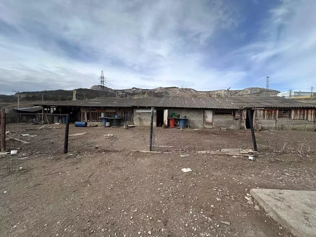 Участок в Ставропольский край, Предгорный муниципальный округ, пос. ... - Фото 1