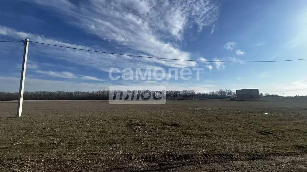 Участок в Краснодарский край, Динская ст-ца ул. 70 лет Октября (6.5 ... - Фото 0