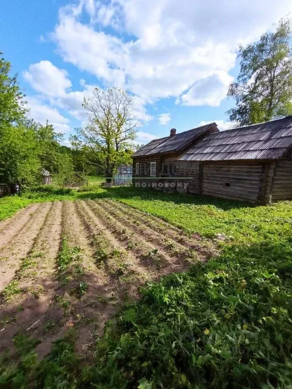 Дом в Новгородская область, Крестецкий муниципальный округ, д. ... - Фото 1