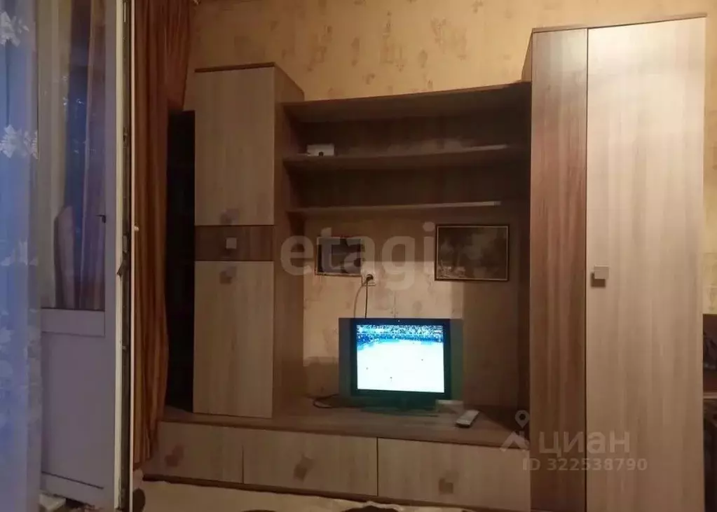 1-к кв. Воронежская область, Воронеж ул. Героев Сибиряков, 57 (29.8 м) - Фото 2