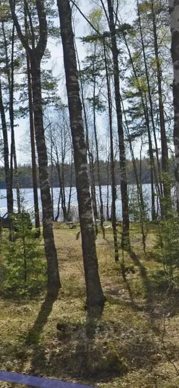 Участок в Ленинградская область, Выборгский район, Красносельское ... - Фото 0