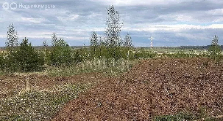 Участок в Пермский муниципальный округ, деревня Горшки (24.17 м) - Фото 1