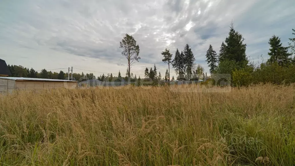 Участок в Московская область, Наро-Фоминский городской округ, д. ... - Фото 1