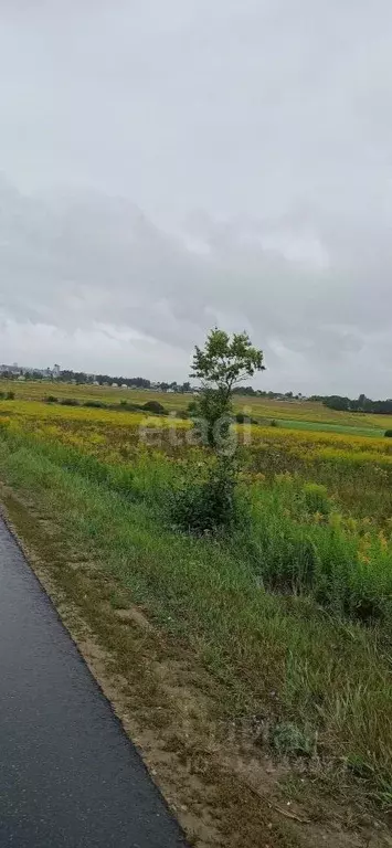 Участок в Тульская область, Тула городской округ, д. Морозовка 24 ... - Фото 0