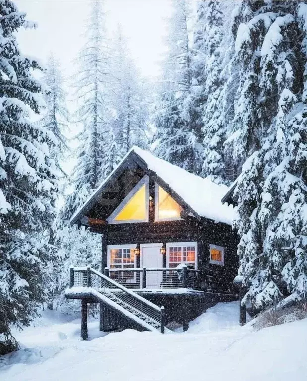 Участок в Ленинградская область, Киришский район, Глажевское с/пос, д. ... - Фото 1