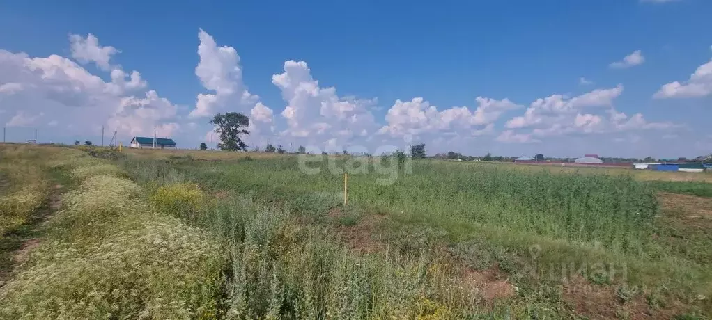 Участок в Воронежская область, Борисоглебский городской округ, с. ... - Фото 0