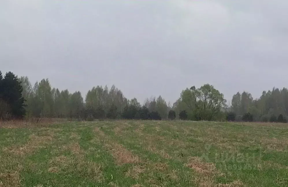 Участок в Московская область, Дмитровский муниципальный округ, д. ... - Фото 0