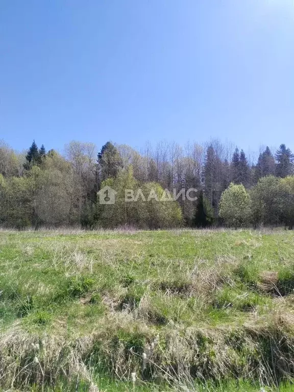 Участок 15,3 га (личное подсобное хозяйство (лпх)) - Фото 1