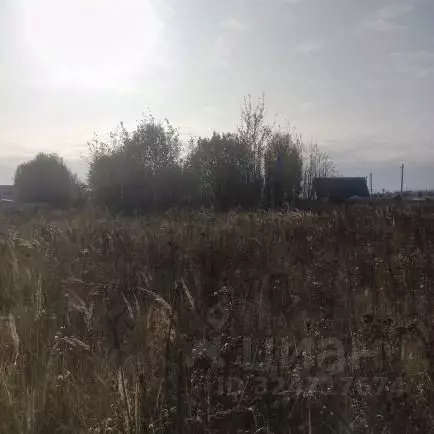 Участок в Московская область, Луховицы  (15.74 сот.) - Фото 2