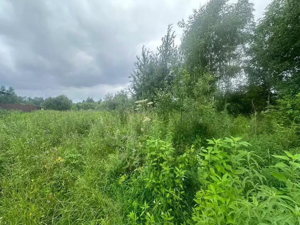 Участок в Московская область, Богородский городской округ, с. Стромынь ... - Фото 1