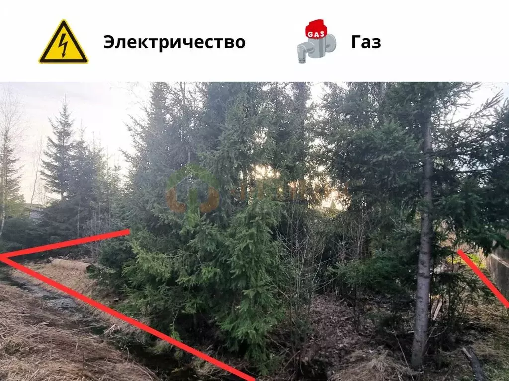 Участок в Агалатовское сельское поселение, СНТ Касимово-1 (10 м) - Фото 1