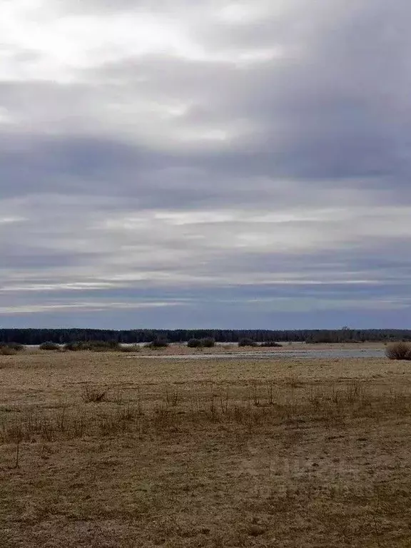 Участок в Ярославская область, Рыбинский муниципальный округ, д. Угол  ... - Фото 1