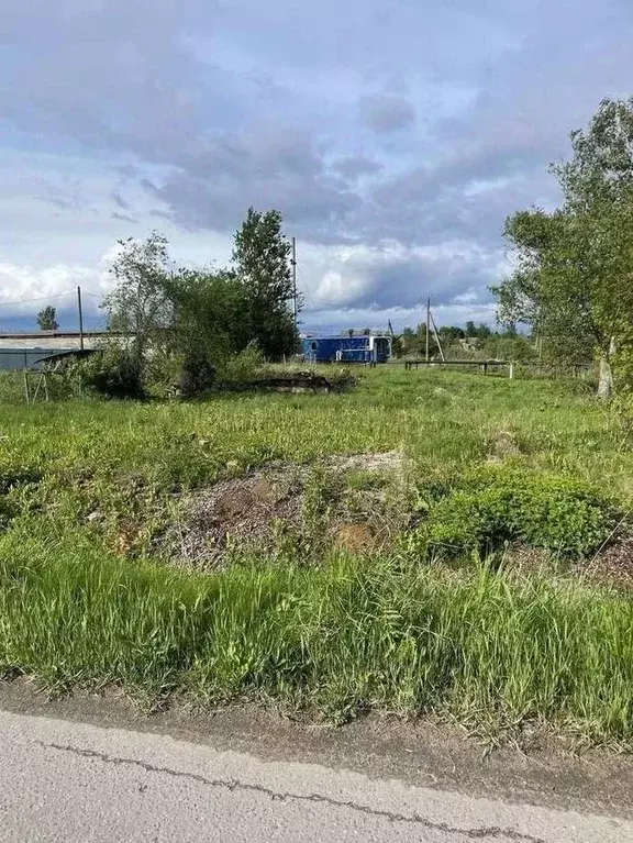 Участок в Новгородская область, Шимск рп ул. Шелонская (11.0 сот.) - Фото 1