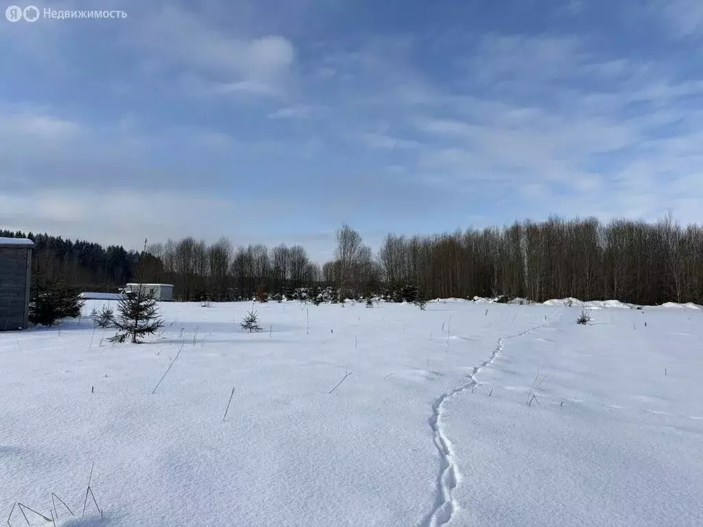 Участок в Волосовский район, Калитинское сельское поселение, деревня ... - Фото 1