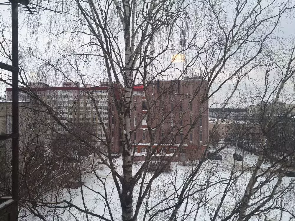 2-к кв. Санкт-Петербург, Санкт-Петербург, Ломоносов Красноармейская ... - Фото 2