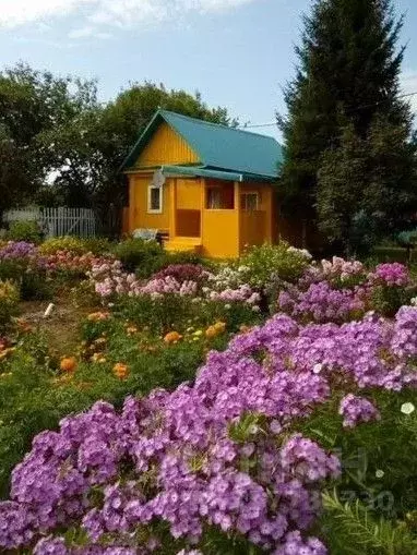 Дом в Башкортостан, Иглинский район, Ауструмский сельсовет, д. ... - Фото 0