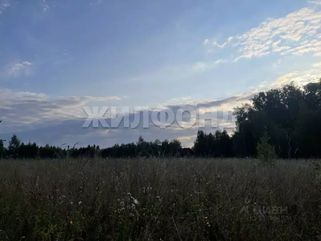 Участок в Новосибирская область, Искитимский район, Морозовский ... - Фото 2