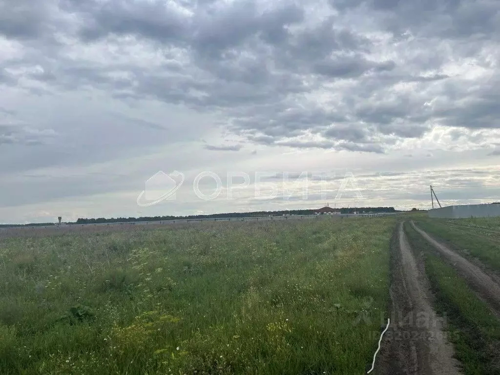 Участок в Тюменская область, Тюмень Центральная пл. (310.0 сот.) - Фото 1