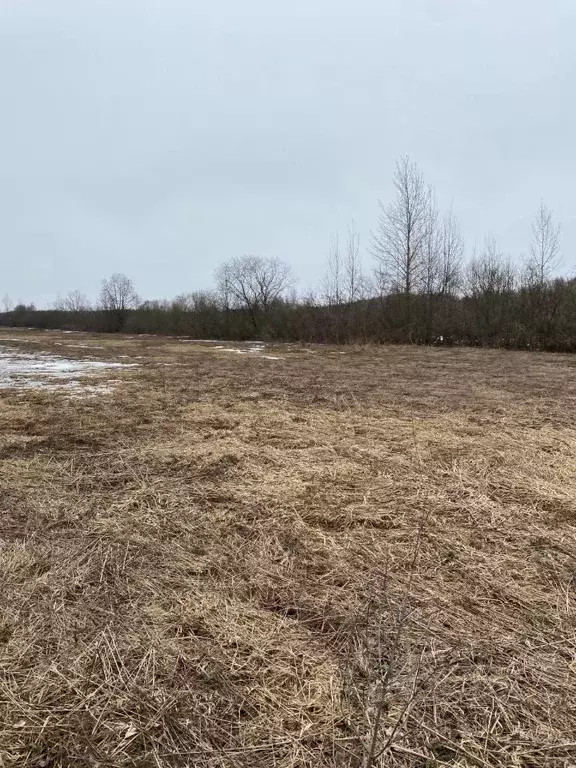 Участок в Новгородская область, Новгородский район, Бронницкое с/пос, ... - Фото 0