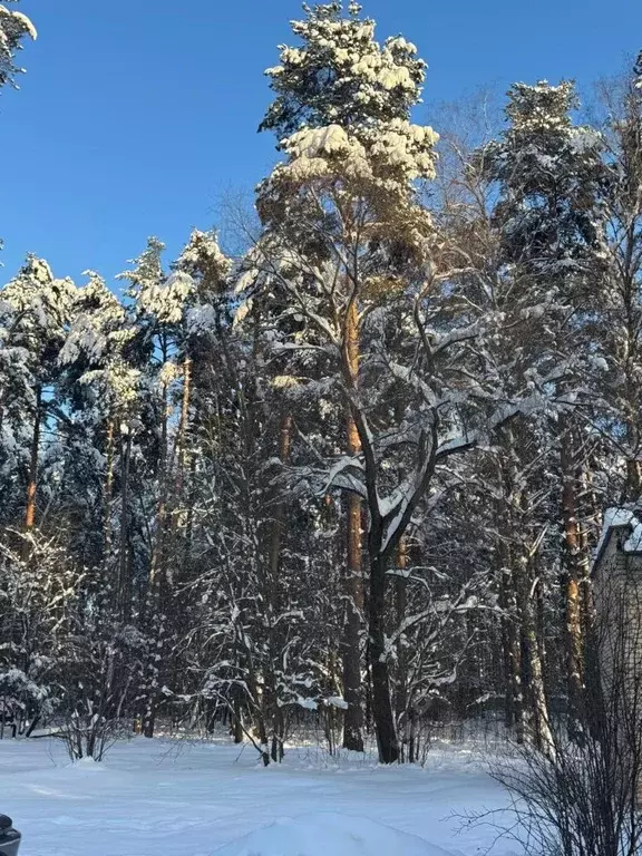 2-к кв. Московская область, Домодедово городской округ, д. Одинцово, ... - Фото 1