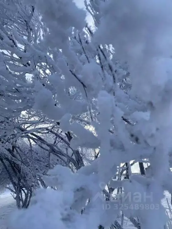Участок в Иркутская область, Иркутский муниципальный округ, Печатник ... - Фото 1