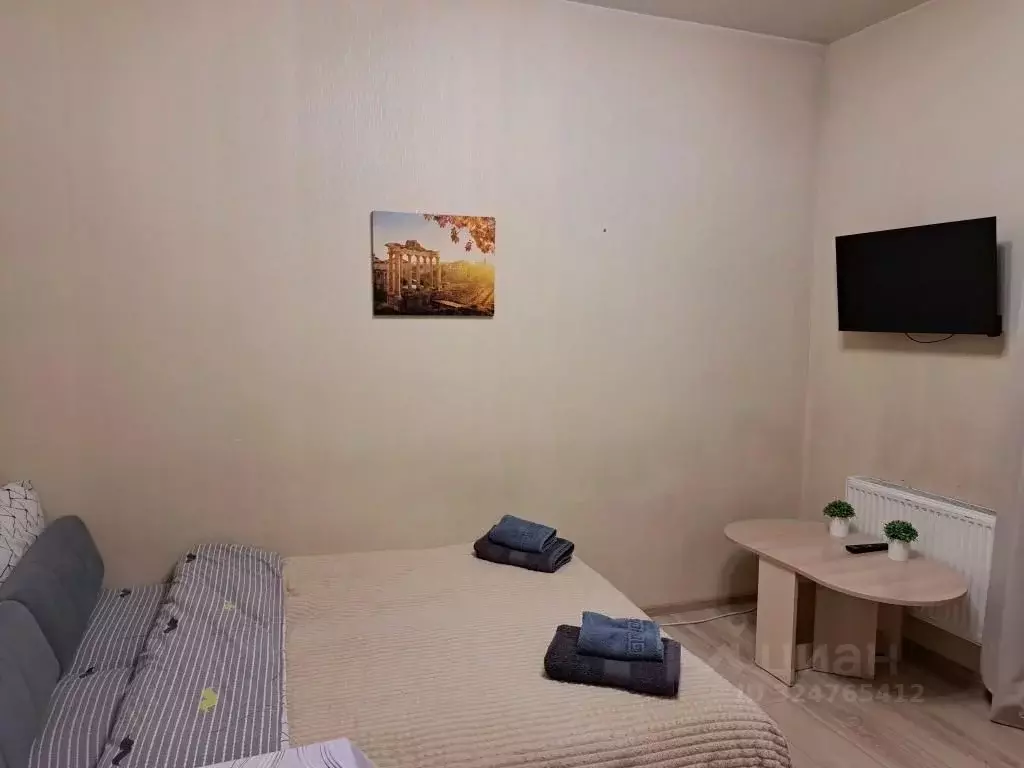 1-к кв. Московская область, Одинцово ул. Белорусская, 10 (21.0 м) - Фото 2