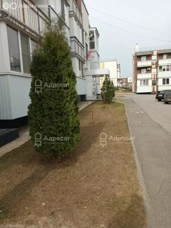 1-комнатная квартира: Волгоград, улица Добрушина, 10 (25 м) - Фото 1